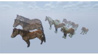 Horse Organic Pack