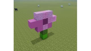 Pink Petal