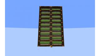 Huge Sugar Cane Farm