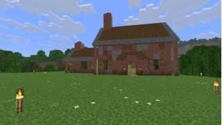 suger cane and vine farm
