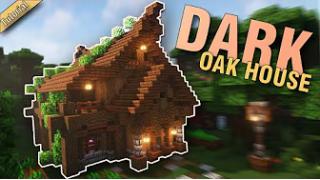 Dark Oak House