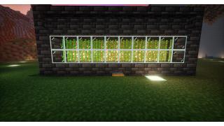 Automatic Mini Sugarcane Harvester