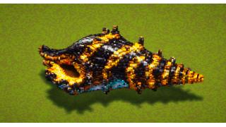 Black-Gold Shell