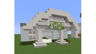 Small Town Shop