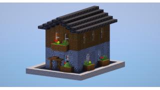 Basic Starter House