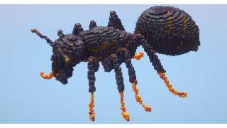 Ant