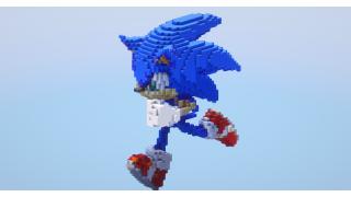 Sonic the hedgehog