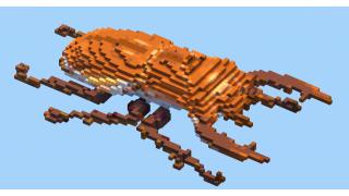 Stag Beetle