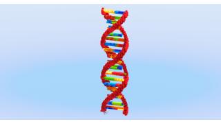 DNA