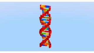 Deoxyribonucleic Acid