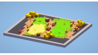 Medium Farm