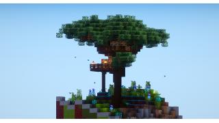 Beginner Treehouse