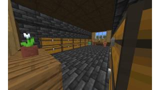 Cute Starter Spruce house with interior!