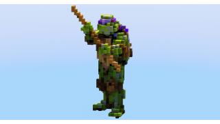 Purple Ninja Turtle