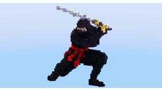 Ninja Small