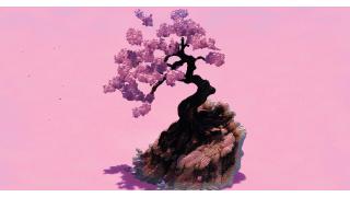 Cherry Tree