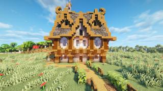 Big Medieval House
