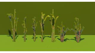 Bamboo Plants Pack