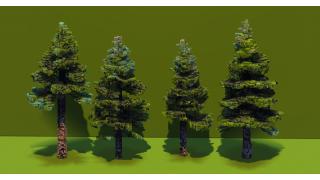 Spruce Trees Pack