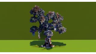 Pale Oak Tree