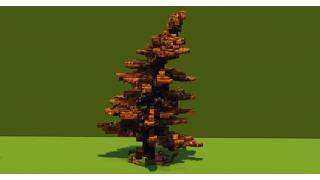 Autumn Tree