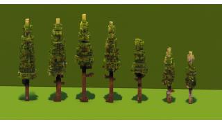 Trees Asset