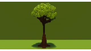 Jungle Tree