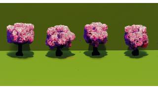 Cherry Trees Pack