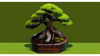 Bonsai Tree