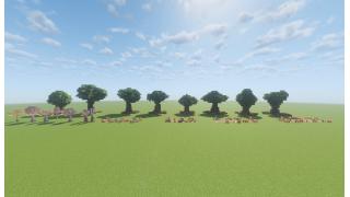 Custom Oak Landscaping