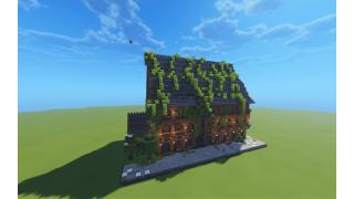Ivybound Manor Medieval
