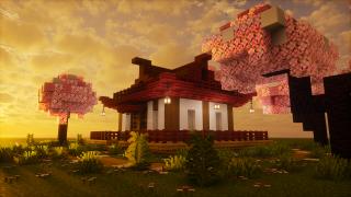 cherry blossom