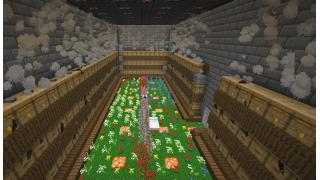 Bee Farm