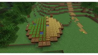 Crop Farm