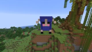Blue Sheep
