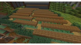 Berry Field