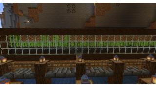 Sugarcane Farm