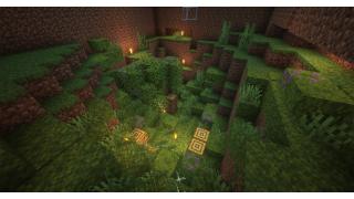 Bee Farm
