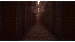 Dark Oak Tunnel