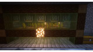Automatic Melon Farm