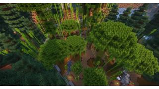 Panda Enclosure