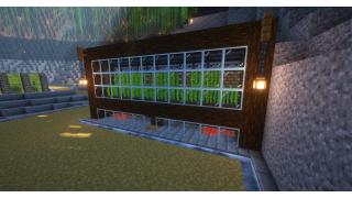 Sugarcane Farm