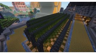Vine Farm