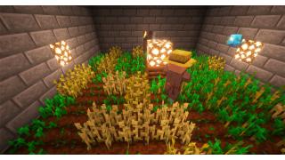 Wheat Farm
