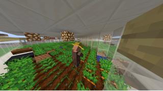 Ultimate Automatic Crop Farm