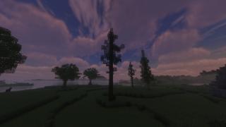 Thin Tree