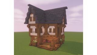 3 Floored House - Starter House