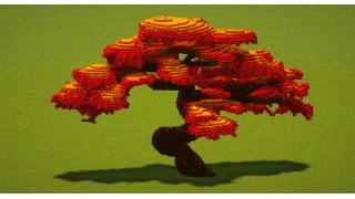 Red Bonsai Tree