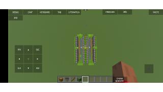 Small sugar cane