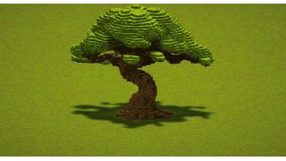 Big Oak Tree